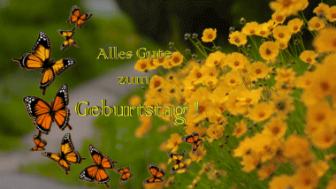 004 Sfondo animato Schmetterlinge Alles Gute zum Geburtstag Tedesco Messagi 