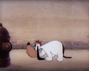 Dumb-Hounded Tex Avery Dibujos animados TV Peliculas Multimedia 