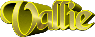 Vallie V FEMININE - UK - USA - IRL - AUS - NZ First Names 