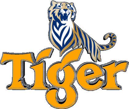 Tiger Singapur Bier Getränke 