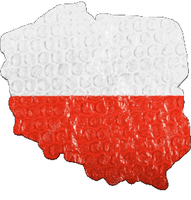 Carta Geografica Polonia Europa Bandiere 