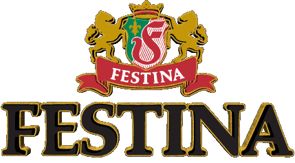 Festina Watches Fashion 