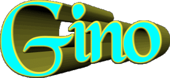 Gino G MASCULINE - Italy First Names 