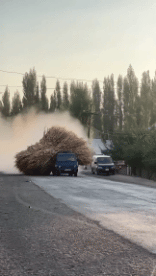 Accident Crash Fail 03 Trucks Transport Humor -  Fun 