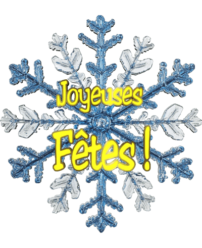 Serie 21 Joyeuses Fêtes (Noël) Francés Mensajes 
