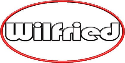 Wilfried W MASCULINE - France First Names 