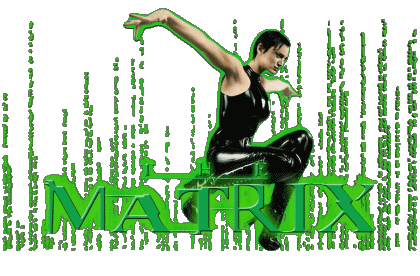 Englisches Logo Matrix V International Multimedia 