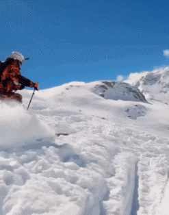 Free Ride Fun Win Ski Sports Humour - Fun 