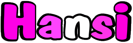 Hansi H MASCULINE - France First Names 