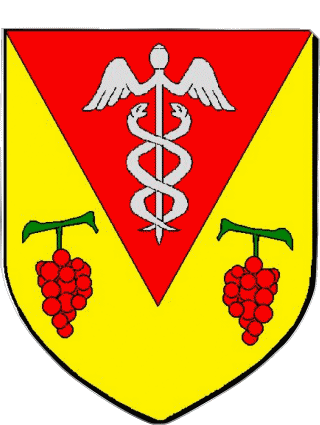 Wappen-Wappen MERCUREY 71 Abteilungen - Städte Frankreich Fahnen 