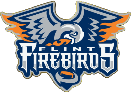 Flint Firebirds Canadá - O H L Hockey - Clubs Deportes 