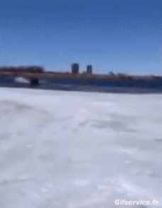 Fun - Win Barche Trasporti Umorismo -  Fun 