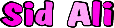 Sid Ali S MASCULINE - Maghreb Muslim First Names 