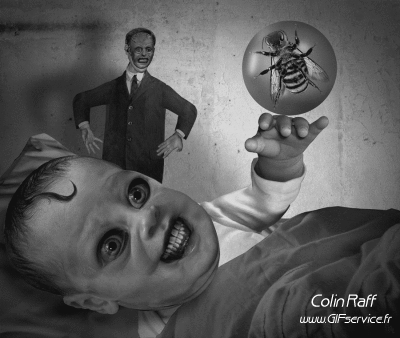 Colin Raff GIF Artists Humor -  Fun 