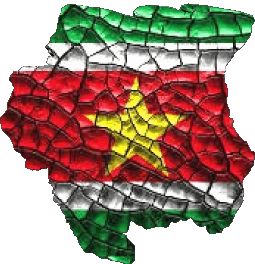 Carte Suriname Amériques Drapeaux 