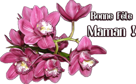 020 Bonne Fête Maman Français Messages 