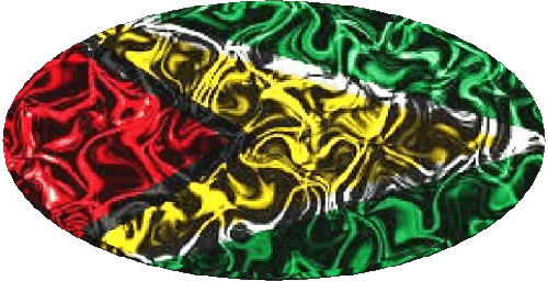 Ovale Guyana Amériques Drapeaux 