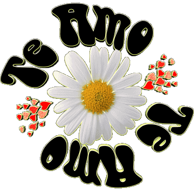 04 Te Amo Spagnolo Messagi 