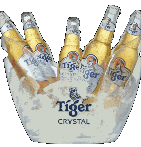 Tiger Singapur Cervezas Bebidas 