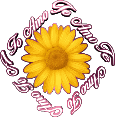 02 Te Amo Spanisch Nachrichten 