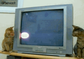 Serie 05 Chats Animaux Humour - Fun 