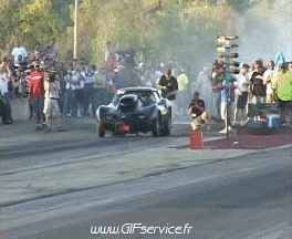 Wheeling Car Macchine Trasporti Umorismo -  Fun 