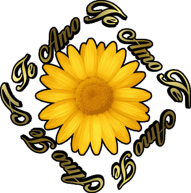 02 Te Amo Spanisch Nachrichten 