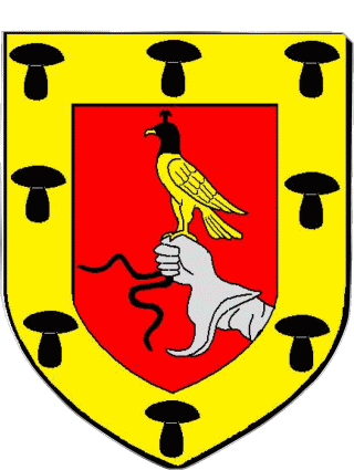 Blason-Blason HOUILLES 78 Départements - Villes France Drapeaux 