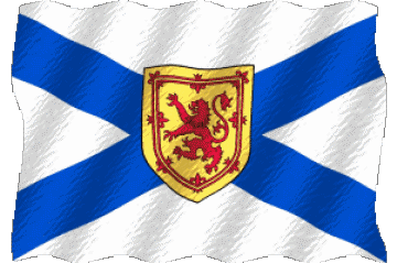 Welligkeit Schottland Europa Fahnen 