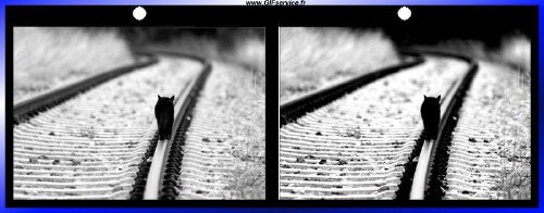 Matrice-Matrice Stéreoscopique Wiggle avec Matrice Efectos 3d Humor - Fun 