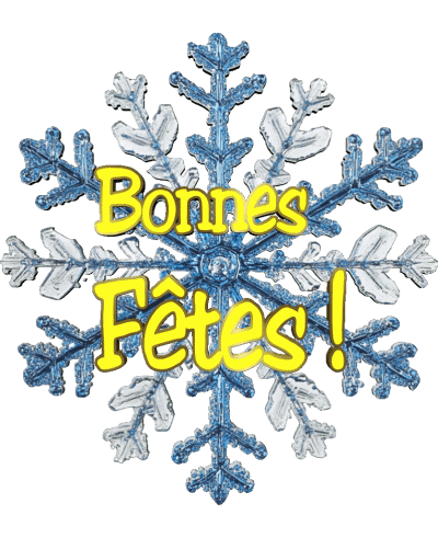 Serie 18 Bonnes Fêtes (Noël) Francese Messagi 