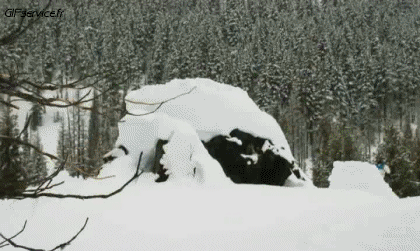 Free Style Fun Win Sciare Sportivo Umorismo -  Fun 