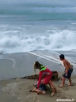 Von Seaside Orte Humor -  Fun 