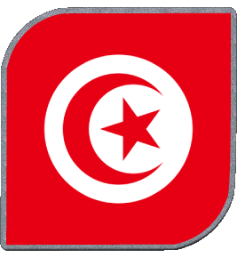 Carré Tunisie Afrique Drapeaux 