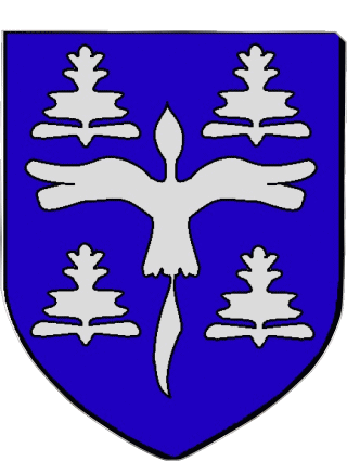 Blasón-Blasón SALAZIE 974 Departamentos - Ciudades Francia Banderas 