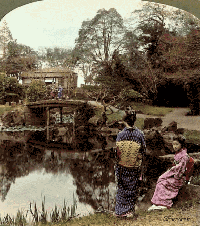 Stéreoscopique Wiggle 3D Effets Humour - Fun 