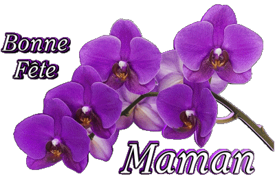 05 Bonne Fête Maman Francés Mensajes 