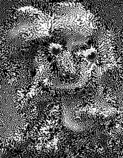 Bill Tavis GIF Artista Humor - Fun 