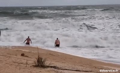 Bord de Mer Lieux - Nature Humour - Fun 