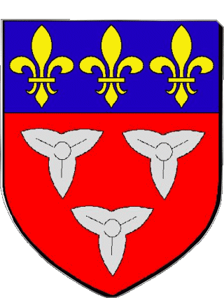 Blazon-Blazon ORLEANS 45 Departments - Cities France Flags 