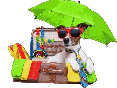 11 Sfondo trasparente Schöne Ferien Tedesco Messagi 