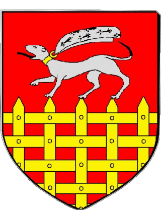 SAINT MALO 35 Departments - Cities France Flags 