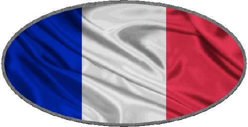 Oval National France Flags 