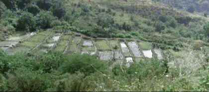 Video First blood PART 2 Rambo Películas Internacional Multimedia 