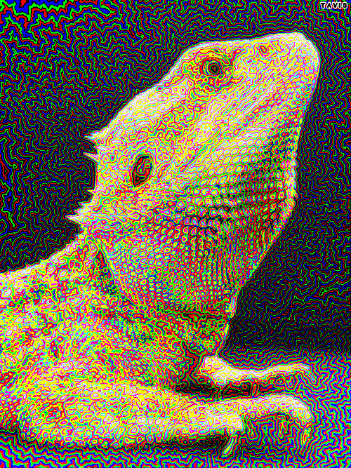 Bill Tavis GIF Artists Humor -  Fun 