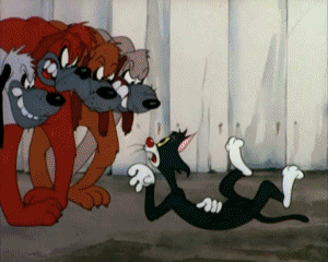 Ventriloquist Cat Tex Avery Dessins Animés TV Cinéma Multi Média 