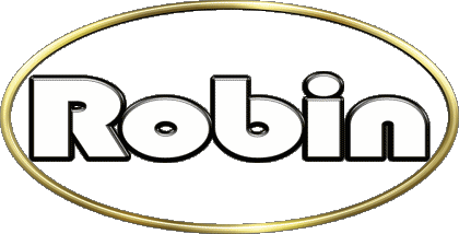 Robin R MASCULIN - France Prénoms 