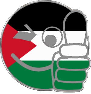 Faccina - OK Palestina Asia Bandiere 