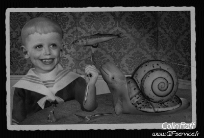 Colin Raff GIF Artista Umorismo -  Fun 