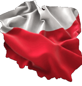 Carta Geografica Polonia Europa Bandiere 